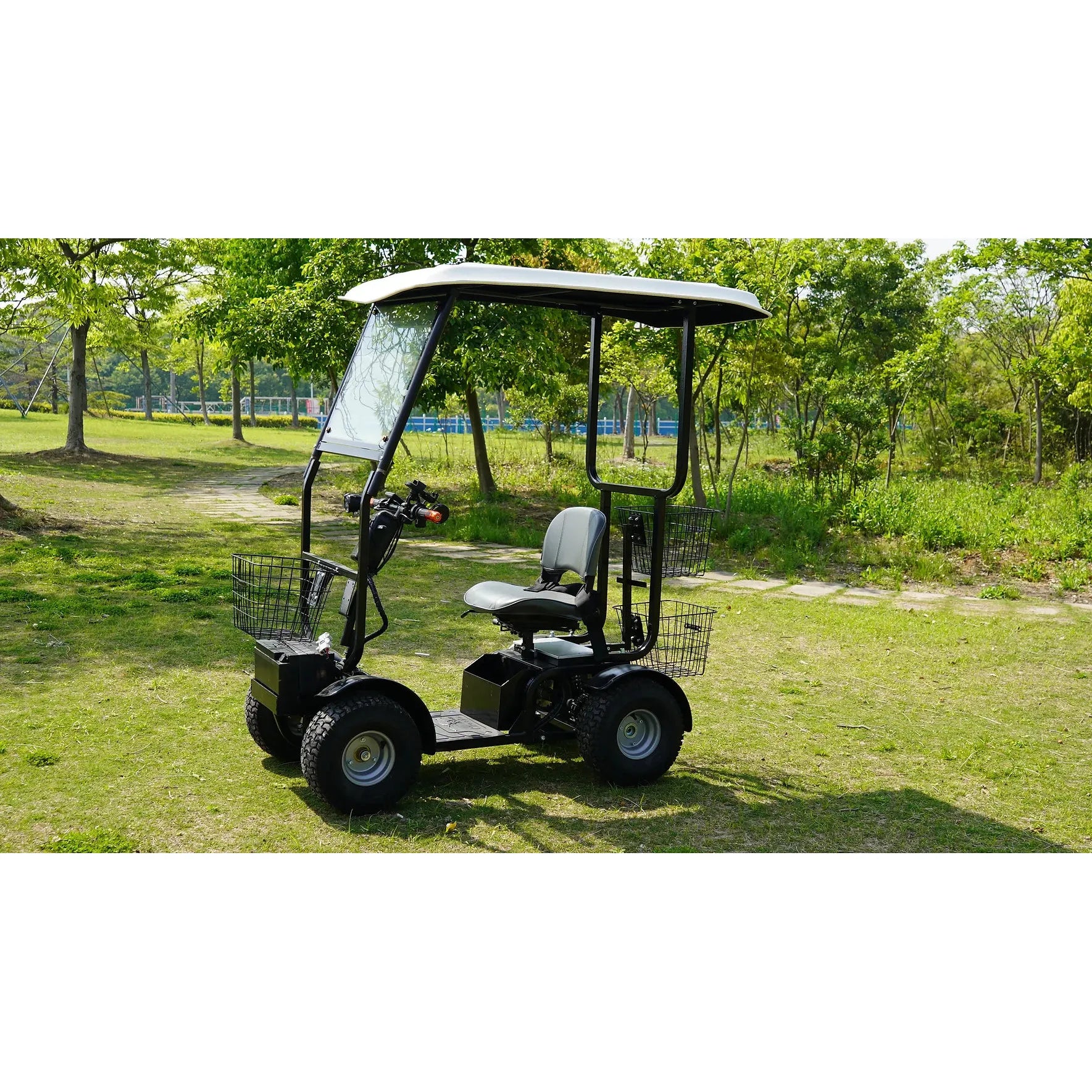 Green Transporter Cheetah Ninja Golf Scooter 4-Wheel Design